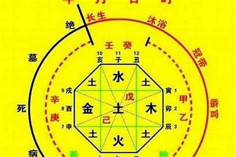 八字十神查詢|八字十神在线排盘,十神四柱排盘查询,四柱十神排盘